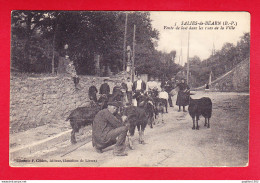 F-64-Salies De Bearn-21P206 Vente De Lait Dans Les Rues De La Ville, Troupeau De Chêvres, Animation, Cpa BE - Salies De Bearn