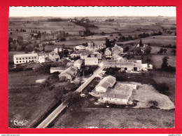 F-24-Gouts Rossignols-01P117  Vue Générale Aérienne, BE - Autres & Non Classés