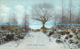 R177075 Winter Scene. Reigate. View And Portrait. Fine Art Post Cards. Shureys P - World