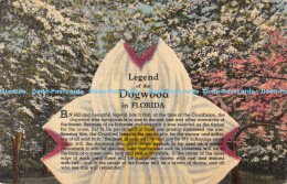 R177076 Legend Of The Dogwood In Florida. An Old And Beautiful Legend Has It Tha - World