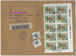 Brazil 1995 Cover Sent From São Miguel Do Oeste To Blumenau 12 Stamp Lubrapex Exhibition Tietê River Otter Urban Bird - Covers & Documents