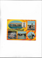 Carte Postale Années 8ouvenir De Camargue (13) Multi Vues - Sonstige & Ohne Zuordnung