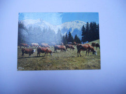 THEME DIVERS CARTE POSTALE EN COULEUR  NOS BELLES ALPES MONTAGNE SAPIN NEIGE VACHES // EDIT COMBIER///////// CIMCROME // - Vaches