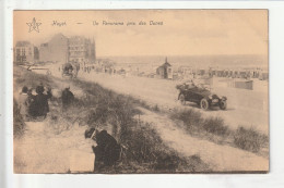 CP BELGIQUE HEYST Un Panorama Pris Des Dunes - Heist