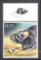 Estonian Fauna – The Black Rat Estonia 2020 MNH Stamp + Label  Mi 997 - Estonie