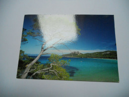 THEME DIVERS CARTE POSTALE EN COULEUR  DE 2012 COULEUR DU SUD  EDIT CLAUDE PASTOR ARBRE MONTAGNE MER ///TBE - Trees