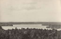 126721 - Werbellinsee - Blick Vom Feuerwachturm - Sonstige & Ohne Zuordnung