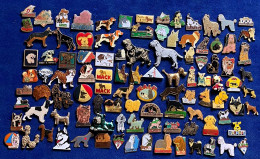 77741-collection De 102  Pin's Chien . - Animals