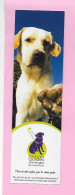 MP - Chiens Guides D'Aveugles - Bookmarks