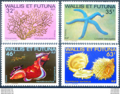 Flora E Fauna Marine 1982. - Autres & Non Classés