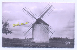 {94382} 56 Morbihan Erdeven , Le Moulin De Narbon , Route De La Plage De Kerilio - Windmühlen