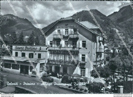 Cg357 Cartolina Dolomiti Primiero Albergo Primiero Col Dalaibol Trento - Trento