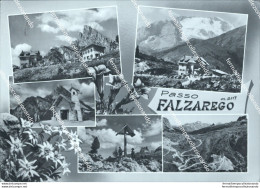 Cg348 Cartolina Passo Falzarego Dolomiti Belluno Veneto - Belluno