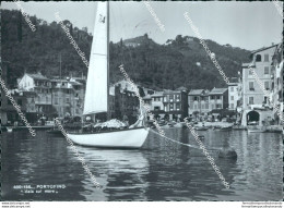 Cg415 Cartolina Portofino Vela Sul Mare Provincia Di Genova Liguria - Genova (Genua)