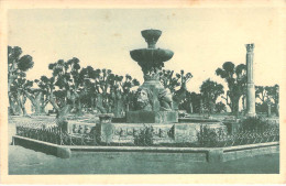 27172 " CHERCHELL-FONTAINE ROMAINE " -VERA FOTO-CART. POST.  NON SPED. - Sonstige & Ohne Zuordnung