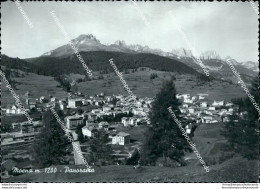 Cg481 Cartolina Moena Panorama Provincia Di Trento Trentino - Trento