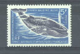 TAAF  :  Yv  22   ** - Unused Stamps