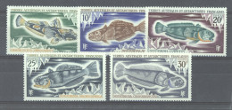 TAAF  :  Yv  34-38   ** - Unused Stamps