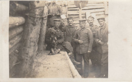 MIL3365  --  BELGIE --  MOLENHOEK  -- DEUTSCHE SOLDATEN  & HUND, DOG - Weltkrieg 1914-18