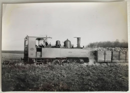 Photo Ancienne - Snapshot - Train Locomotive - LA CROIX EN BRIE - Ferroviaire - Chemin De Fer - Seine Et Marne - Trains