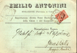 Regno D'Italia (1899) - Ditta Emilio Antonini, Bachi Da Seta - Cartolina Da Gazzada Per Guastalla - Poststempel