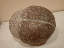 Escultura Erótica De Piedra Caliza Con Nummulites Fosiles Representando Un Pene O Glande. - Stone & Marble