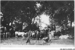 CAR-ABDP4-33-0419 - FARGUES - LE CHAMP DE FOIRE - Autres & Non Classés