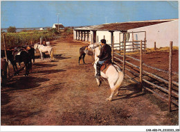 CAR-ABDP4-30-0412 - AIGUES-MORTES - AU SOLEIL DE LA CAMARGUE - DRESSAGE DE CHEVAUX - Aigues-Mortes