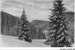 CAR-ABDP3-25-0319 - PONTALIER - LES ARBRES DANS LA NEIGE - CADRE PHOTO - Pontarlier