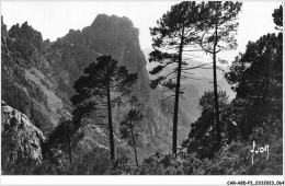 CAR-ABDP3-20-0259 - PIANA - LES CALANCHE - Other & Unclassified