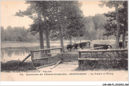 CAR-ABDP1-02-0034 - ENVIRONS DE VILLERS-COTTERETS - MONTGOBERT - LA PRAIRIE ET L'ETANG - Villers Cotterets