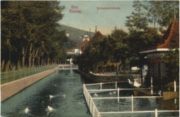 Biel- Schwanenkolonie - Bienne