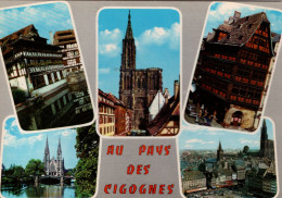 STRASBOURG - AU PAYS DES CIGOGNES - Strasbourg