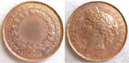 Medaille En Bronze. Exposition Des Lauréats De France . Londres 1888 - Other & Unclassified