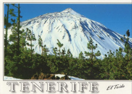 135187 - Teneriffa - Spanien - El Teide - Tenerife