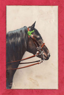Swiss Card. Head Of Black Horse. -+ Small Size, Divided Back, Ed. Two N° 1082.3. Cancelled And Mailed On 18.11.1924. - Horses