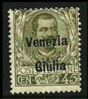 ● ITALIA REGNO ֍ VENEZIA GIULIA 1918 / 19 ● N. 26 Nuovo * ● Cat. 50 € ● L. N. 1545 ● - Venezia Giulia