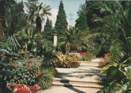 24394 - Palmengarten In Bad Pyrmont - 1969 - Bad Pyrmont