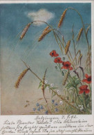 118359 - Getreide Und Blumen - Autres & Non Classés