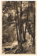 33 BAZAS LE SENTIER DU CIRON  1928LM261 - Bazas