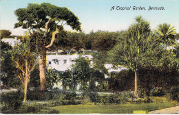 A Tropical Garden - Bermuda - Bermudes