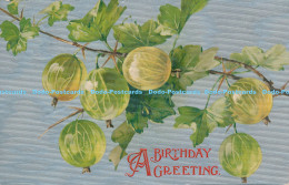 R178788 A Birthday Greeting. Gooseberries. Wildt And Kray. 1910 - World