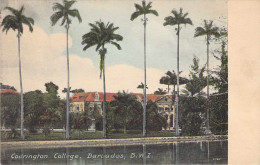 Codrington College - Barbados - Barbados