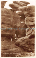 R178823 The Elephants Head. Brimham Rocks. W. Scott. RP - Monde