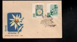 POLOGNE FDC 1957 FLEURS - Other & Unclassified