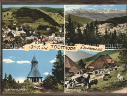 71596919 Todtmoos Panorama Alpen Kuehe Hochkopfturm Todtmoos - Todtmoos