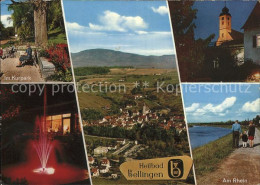 71596813 Bad Bellingen Panorama Kurpark Rhein Bad Bellingen - Bad Bellingen