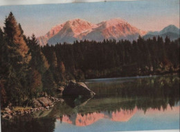75699 - Hintersee - Alpenglühen - Ca. 1975 - Sonstige & Ohne Zuordnung
