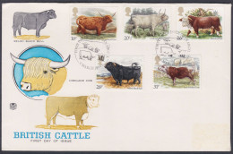 GB Great Britain 1984 Private FDC British Cattle, Welsh Black Bull, Highland Cow, Cows, Bulls, First Day Cover - Lettres & Documents