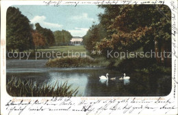 71596518 Bad Homburg Weiher Schwaene Kurgarten Bad Homburg - Bad Homburg